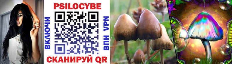 Псилоцибиновые грибы MAGIC MUSHROOMS Наволоки